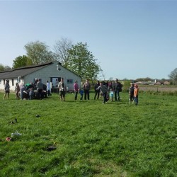 Koala 175 - Scouts en Gidsen Zaventem 